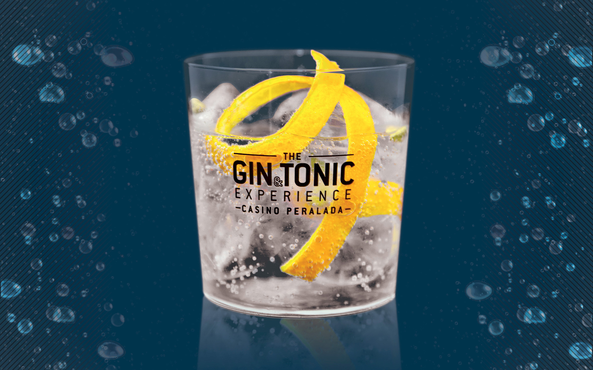 The Gin&tonic Experience The Gin&tonic Experience